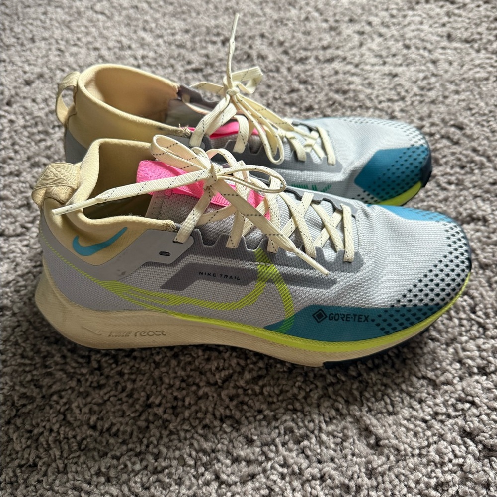 Nike Gore-Tex Trail Shoes in Blue and Pink